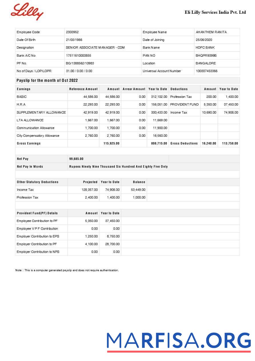 Downloadable Eli Lilly Services India pharmaceutical company payslip real example